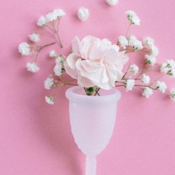 Productos ecológicos para la menstruación